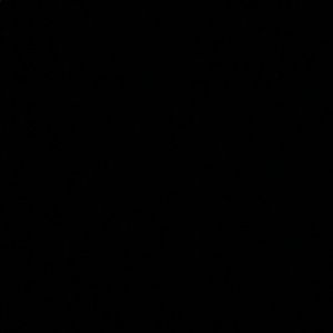 Meet your Posher, Owen